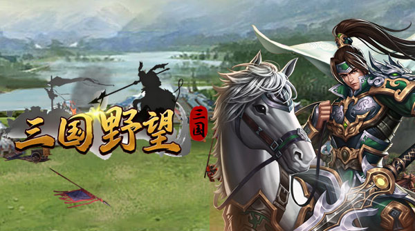 三国野望